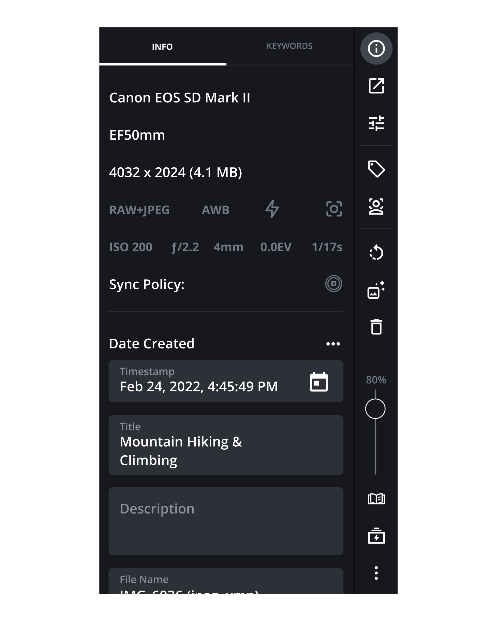The final side panel showing photo metadata alongside an always-visible vertical tool bar